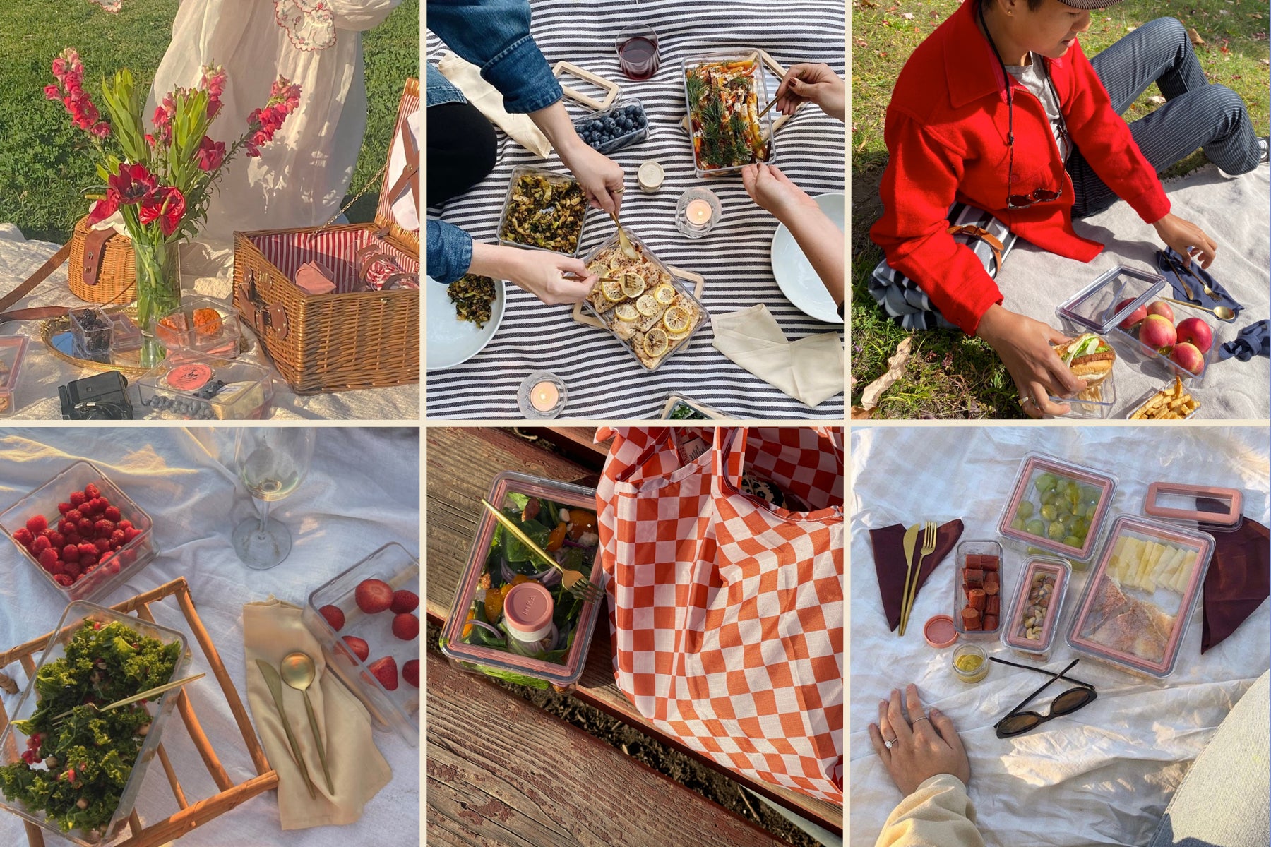 How to Plan the Perfect Picnic