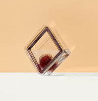 Sustainable & Reusable Food Containers – INKA